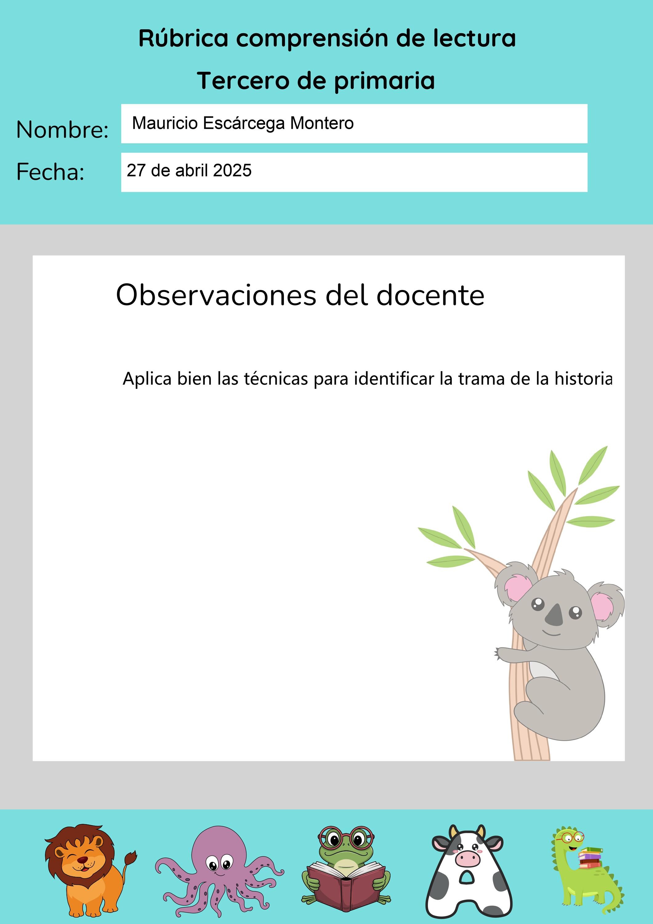 Grade R Reading Observation Reading Comprehension Rubric - Teacher's Observations - 3rd Grade ...