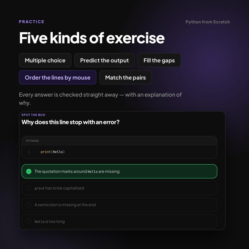 Interactive Python Course for Beginners image 4