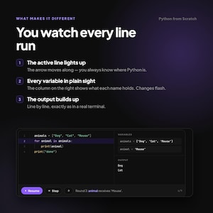 Interactive Python Course for Beginners image 2