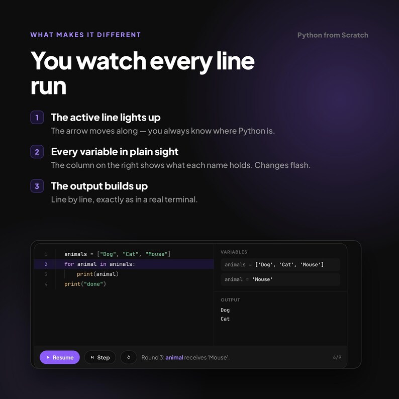 Interactive Python Course for Beginners image 2