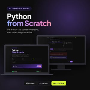 Interactive Python Course for Beginners