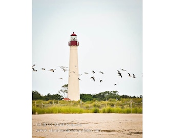 May include: A white lighthouse with a red roof stands tall against a cloudy sky. A flock of black birds flies in formation over the lighthouse.