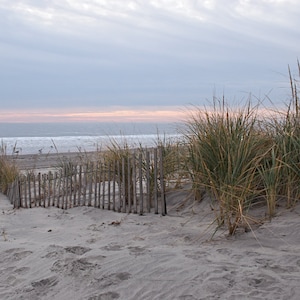 Sea Isle NJ Art Print  - Fine Art Photograph - Dunes on the Beach - 0462