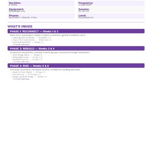 May include: A purple and white digital download titled "Postpartum Program" by The Strength Standard. The 6-week program focuses on home recovery with bodyweight exercises, 3 days a week. Includes phases for reconnecting, rebuilding, and rising.