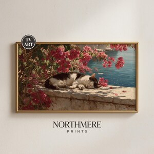 May include: A framed horizontal art print featuring a black and white cat sleeping on a stone ledge beside vibrant pink bougainvillea flowers and a blue sea. The print includes a circular logo with the text TV ART and the brand name NORTHMERE PRINTS.