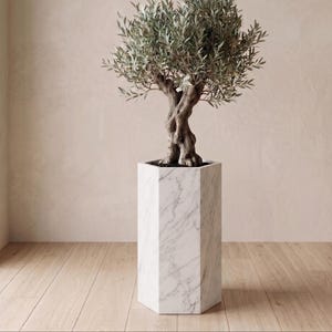 Könnte beinhalten: Ein Olivenbaum in einem weißen Marmor-Pflanzgefäß. Der Pflanztopf hat eine geometrische, sechseckige Form. Der Baum hat einen verdrehten Stamm und grüne Blätter. Der Pflanztopf ist etwa 91 cm hoch.