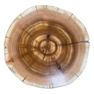 Pu&ograve; includere: Una ciotola rotonda in legno ricavata da un unico pezzo di tronco, caratterizzata da venature naturali color marrone chiaro e scuro con anelli di crescita visibili, una finitura liscia e lucida e diverse piccole crepe sul bordo esterno.