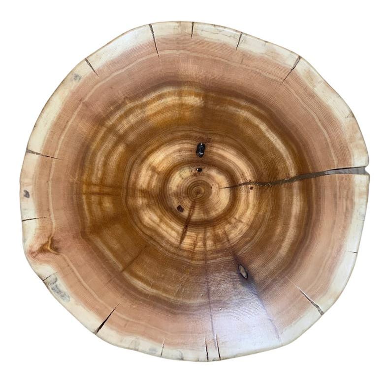 Pu&ograve; includere: Una ciotola rotonda in legno ricavata da un unico pezzo di tronco, caratterizzata da venature naturali color marrone chiaro e scuro con anelli di crescita visibili, una finitura liscia e lucida e diverse piccole crepe sul bordo esterno.