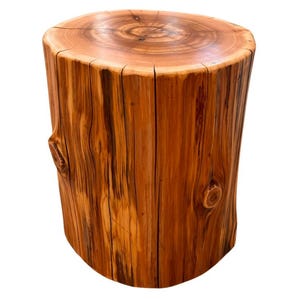 Pu&ograve; includere: Uno sgabello cilindrico in legno ricavato da un unico tronco d'albero, caratterizzato da una superficie superiore liscia e lucida con anelli di crescita visibili e lati dalla texture naturale in toni bruno-rossastri con venature scure.