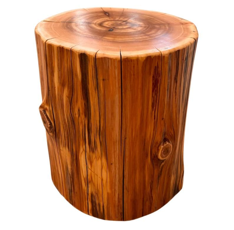 Pu&ograve; includere: Uno sgabello cilindrico in legno ricavato da un unico tronco d'albero, caratterizzato da una superficie superiore liscia e lucida con anelli di crescita visibili e lati dalla texture naturale in toni bruno-rossastri con venature scure.