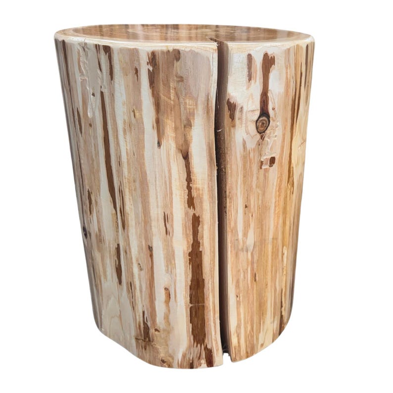 Pu&ograve; includere: Uno sgabello o tavolino cilindrico in legno ricavato da un unico tronco, caratterizzato da una finitura liscia e chiara con venature naturali del legno, striature marroni e una profonda spaccatura verticale lungo il lato.