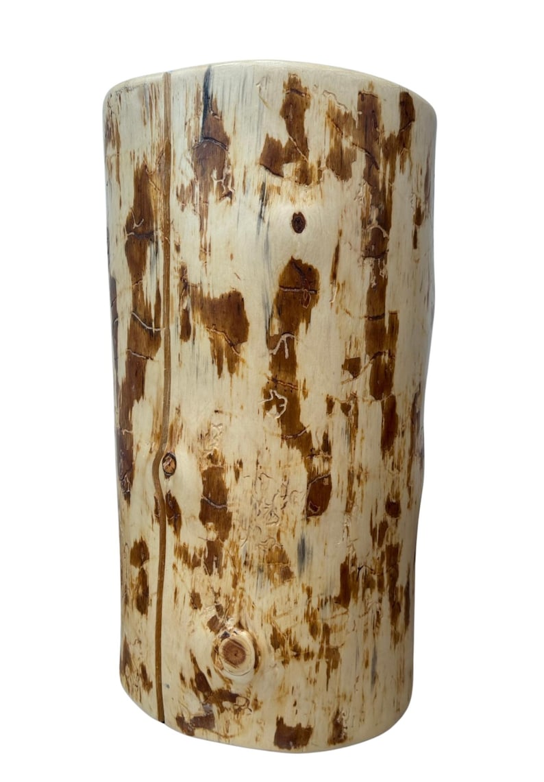 Puede incluir: Un taburete cil&iacute;ndrico de madera con una superficie lisa de color crema claro que presenta restos naturales de corteza marr&oacute;n oscuro, patrones intrincados de veta de madera y nudos visibles, en posici&oacute;n vertical.