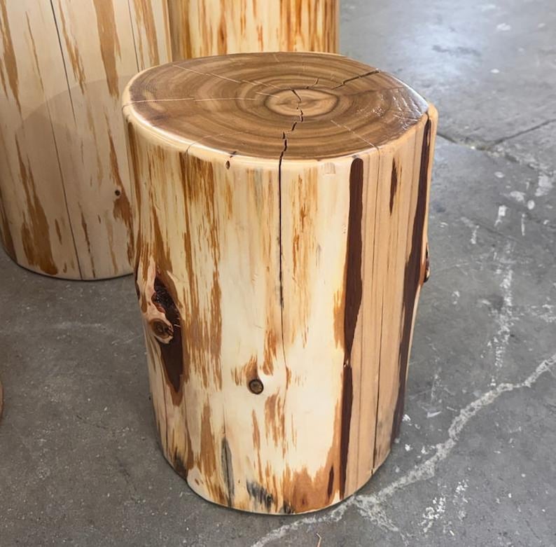 Pu&ograve; includere: Uno sgabello cilindrico in legno ricavato da un tronco naturale, caratterizzato da una superficie superiore liscia e lucida con anelli di crescita visibili e una venatura verticale nei toni del crema, beige e marrone rossastro.