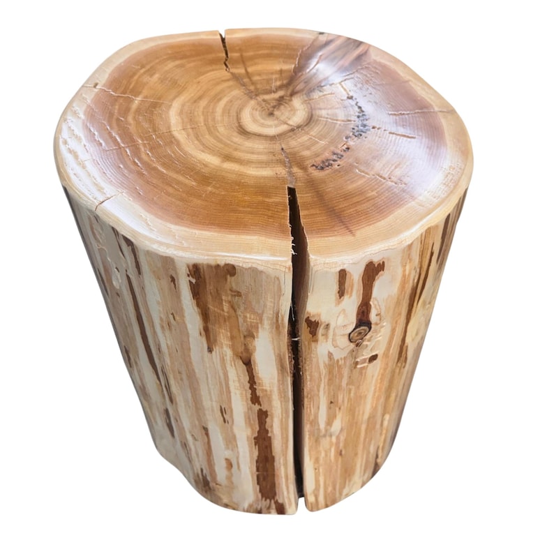 Pu&ograve; includere: Uno sgabello cilindrico in legno ricavato da un tronco, caratterizzato da una superficie superiore liscia e lucida con anelli di crescita concentrici visibili e una profonda crepa verticale che si estende dal centro al bordo, mostrando venature chiare.