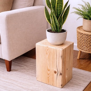 May include: A light-colored, square wooden side table with a potted snake plant. The table has visible wood grain and a knot. A beige sofa and a woven side table with a small plant are in the background.