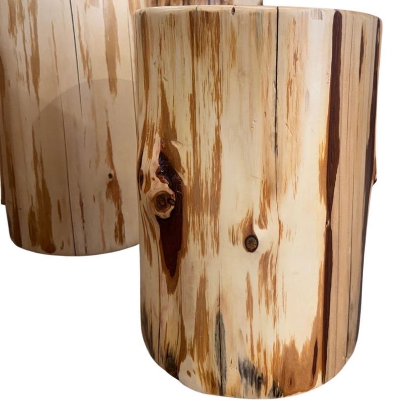 Pu&ograve; includere: Due sgabelli cilindrici in legno ricavati da tronchi naturali, caratterizzati da una venatura color crema chiaro con nodi marrone scuro e striature verticali. Le superfici sono lisce e levigate, mettendo in risalto la trama grezza del tronco.