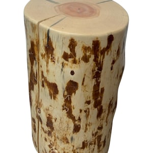 Puede incluir: Un taburete o mesa auxiliar cil&iacute;ndrica de madera hecha de un tronco natural. El exterior presenta madera de color crema claro con parches de restos de corteza marr&oacute;n oscuro y fisuras verticales. La superficie superior muestra anillos de crecimiento.