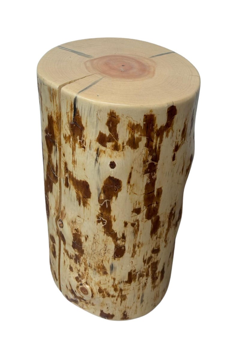 Puede incluir: Un taburete o mesa auxiliar cil&iacute;ndrica de madera hecha de un tronco natural. El exterior presenta madera de color crema claro con parches de restos de corteza marr&oacute;n oscuro y fisuras verticales. La superficie superior muestra anillos de crecimiento.