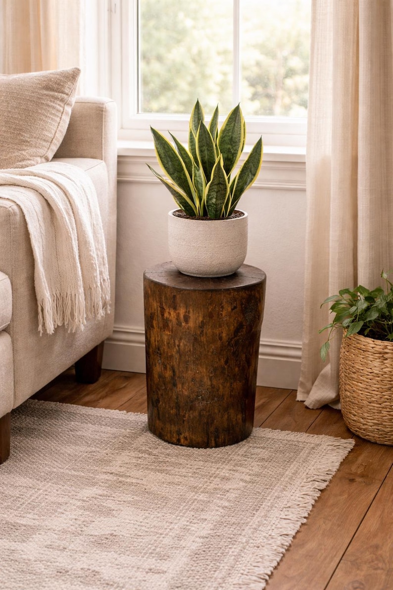 Puede incluir: Un taburete cil&iacute;ndrico de madera marr&oacute;n oscuro con una textura natural similar a la corteza, coronado por una maceta de cer&aacute;mica blanca texturizada que contiene una planta de serpiente con hojas verde oscuro y bordes amarillos.