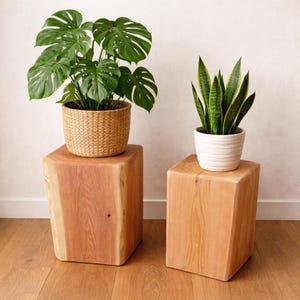May include: Two light-colored wooden block stools with a smooth finish. A large Monstera plant in a woven basket sits on the left stool, and a Sansevieria plant in a white ribbed ceramic pot sits on the right stool. Both stools are rectangular.