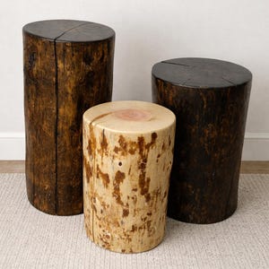 May include: Three rustic wooden tree stump stools. The stools vary in height and diameter, with natural wood grain and dark brown and light tan finishes. The stools are cylindrical and have flat tops, suitable for seating or as decorative accents.
