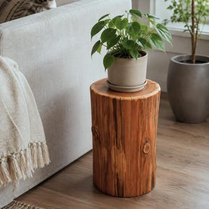 May include: A cylindrical side table crafted from a natural tree log with a smooth, polished finish showing visible wood grain and knots. The table features a warm, reddish-brown color and serves as a sturdy base for a potted green plant.