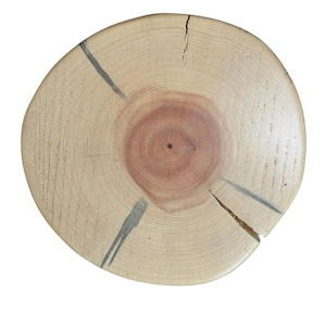 Puede incluir: Una rodaja de madera circular con un anillo exterior beige claro y un n&uacute;cleo de color marr&oacute;n rojizo. La superficie muestra anillos de crecimiento visibles, un punto central oscuro y dos grietas radiales gris oscuro distintas.