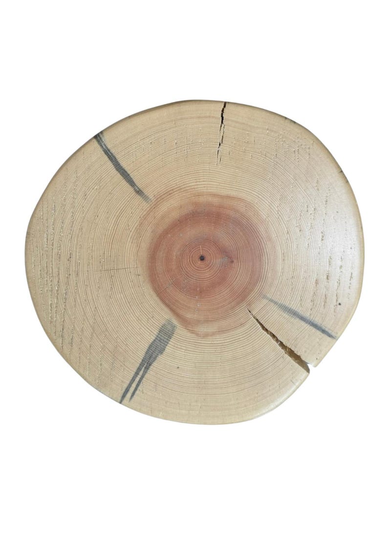 Puede incluir: Una rodaja de madera circular con un anillo exterior beige claro y un n&uacute;cleo de color marr&oacute;n rojizo. La superficie muestra anillos de crecimiento visibles, un punto central oscuro y dos grietas radiales gris oscuro distintas.