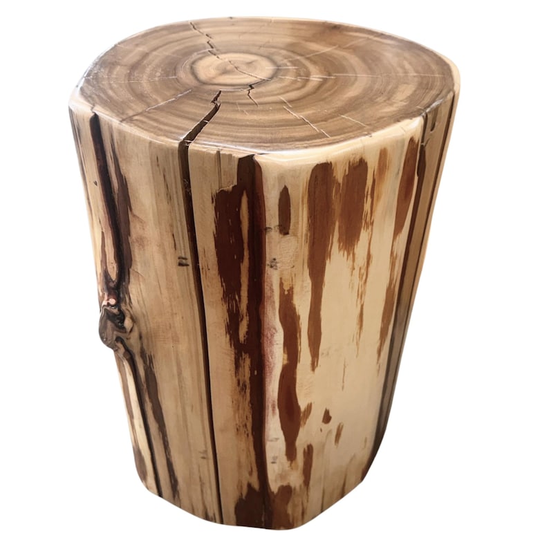 Pu&ograve; includere: Uno sgabello cilindrico in legno ricavato da un unico tronco, caratterizzato da una superficie superiore liscia e lucida con anelli di crescita concentrici visibili e un esterno scortecciato con venature color marrone rossiccio e beige.