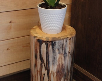 Soporte para plantas de tocón de pino Lodgepole, mesa auxiliar rústica, 35,5 cm de alto (Hecho en EE. UU.)