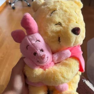 May include: A plush Winnie the Pooh doll in yellow, embracing a pink Piglet doll. Both toys have smiling faces and are wearing pink accents. The image is a close-up of the two stuffed animals.