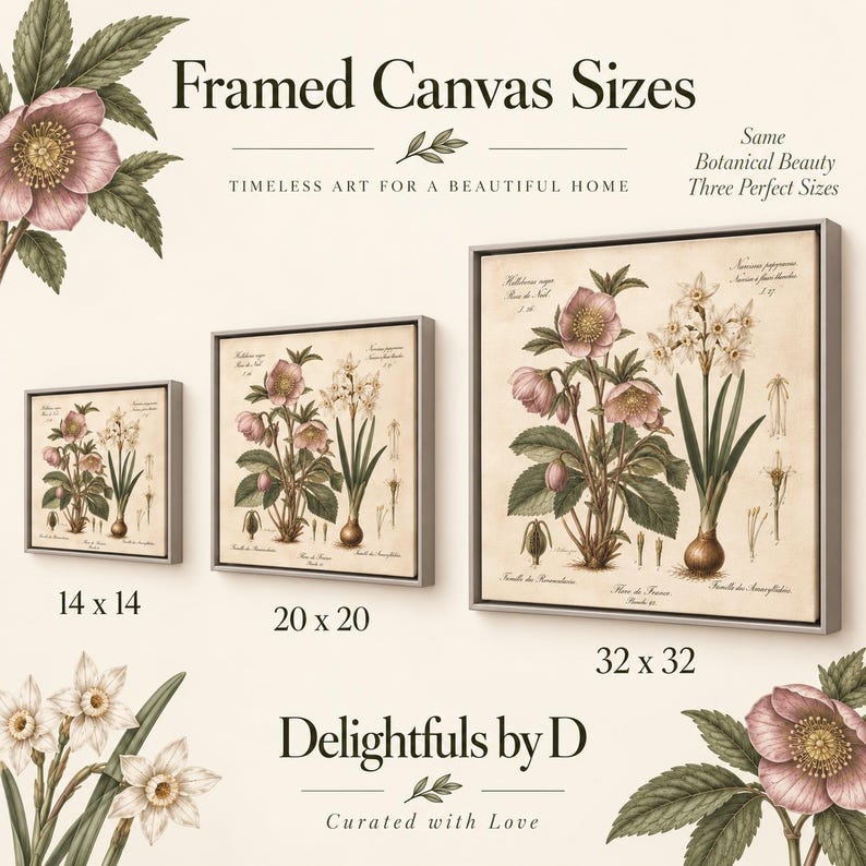 Framed Canvas Wall Art Vintage Botanical Print Camellia Holly Berries ...