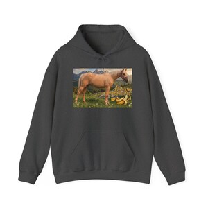 Anna Bananna Horse Hoodie | Horse Illustration Hooded Sweatshirt image 7