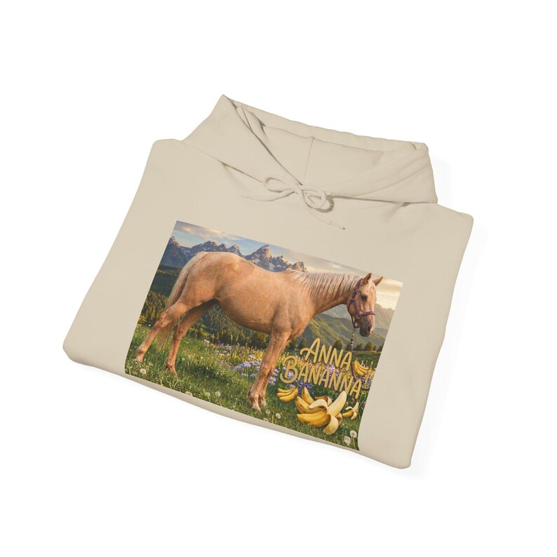 Anna Bananna Horse Hoodie | Horse Illustration Hooded Sweatshirt image 13