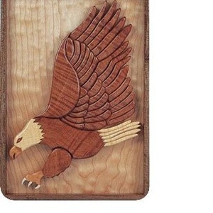 Puede incluir: Una escultura de águila de madera con plumas marrones y blancas, montada en un marco de madera.