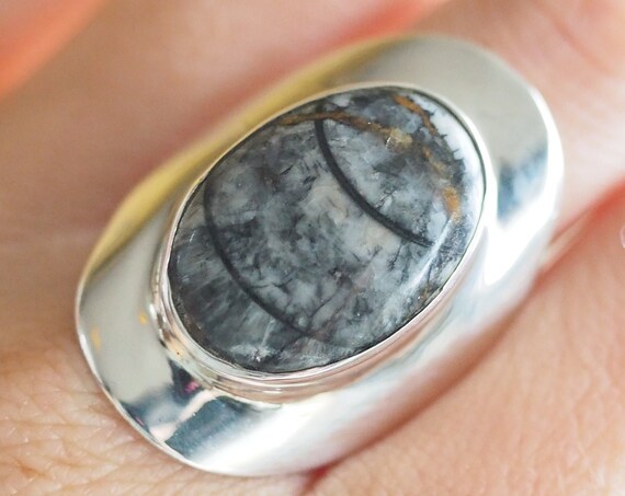 RARE ORTHOCERAS RING - Unisex Fossil Ring - Adjustable Sterling silver - Fossil Jewellery - Chunky Crystal Ring - Mens Ring - Non binary