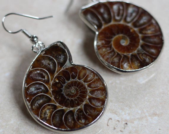 AMMONITE EARRINGS - Fossil earrings - Ammonites - Crystal - Archaeology - Sacred Geometry - Fractal - Shell Jewellery - Handmade Earrings