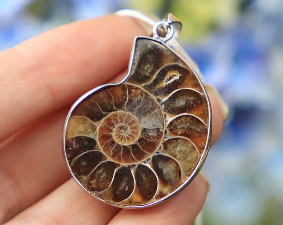 SMALL AMMONITE NECKLACE - Silver plated Unisex Crystal Necklace - Archaeology - Sacred Geometry - Shell - Fibonacci - Mens Fossil jewellery