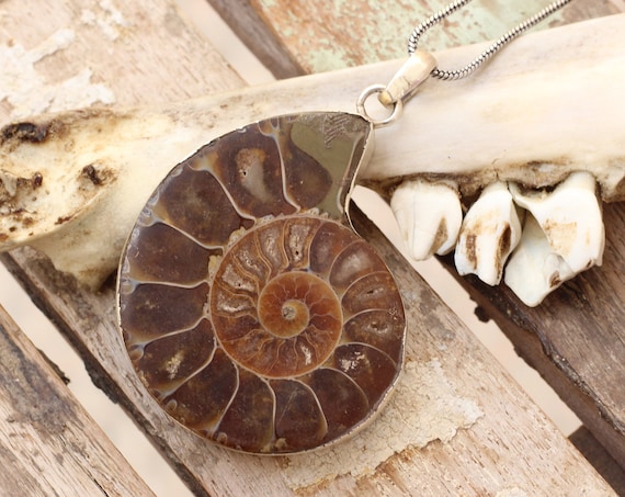 XL AMMONITE NECKLACE - Sterling Silver - Fossil - Fractal - Crystal Necklace - Archaeology - Sacred Geometry - Shell - Handmade