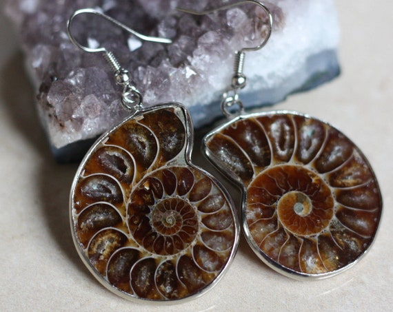 AMMONITE EARRINGS - Fossil earrings - Ammonites - Crystal - Archaeology - Sacred Geometry - Fractal - Shell Jewellery - Handmade Earrings