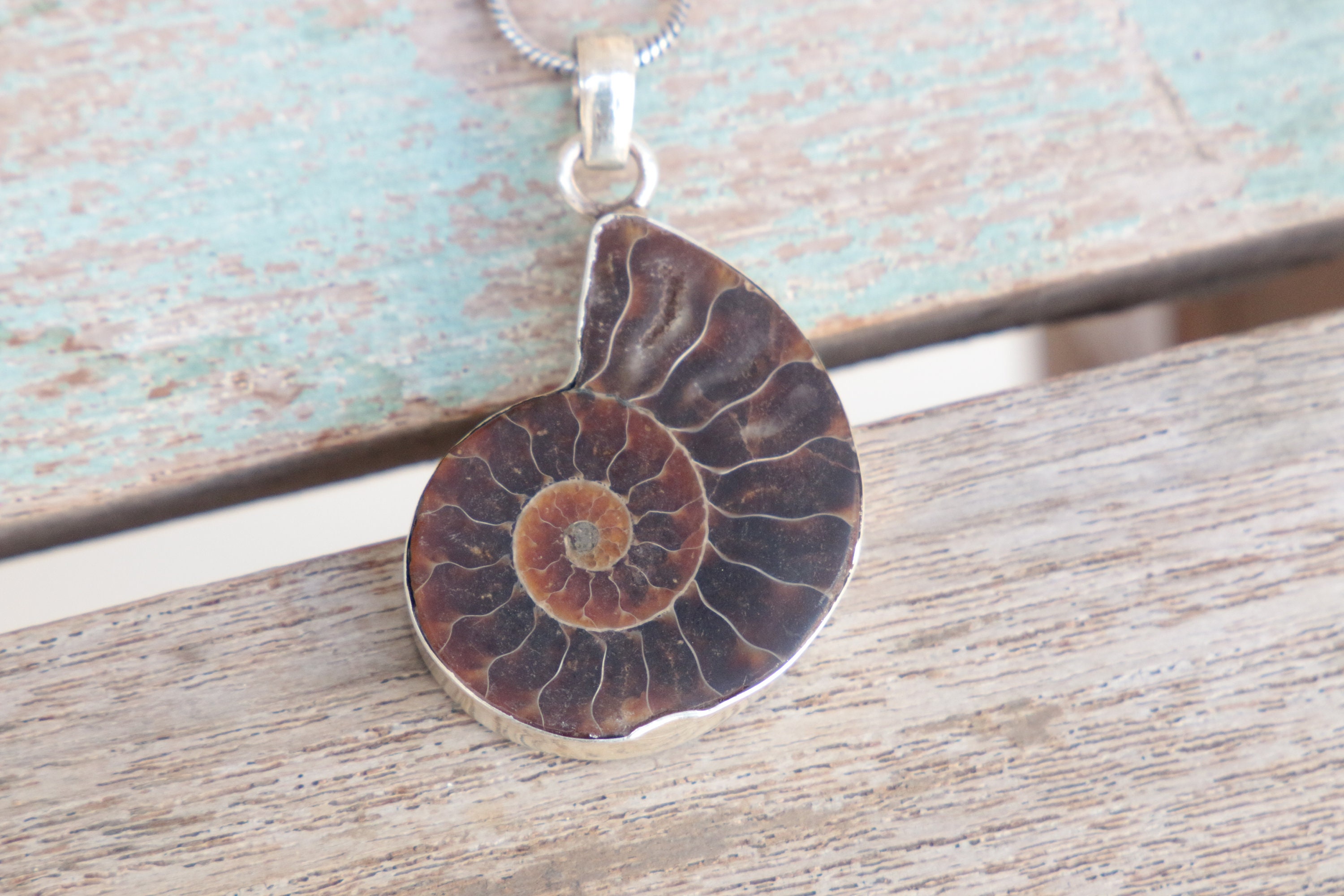 fossil silver necklace
