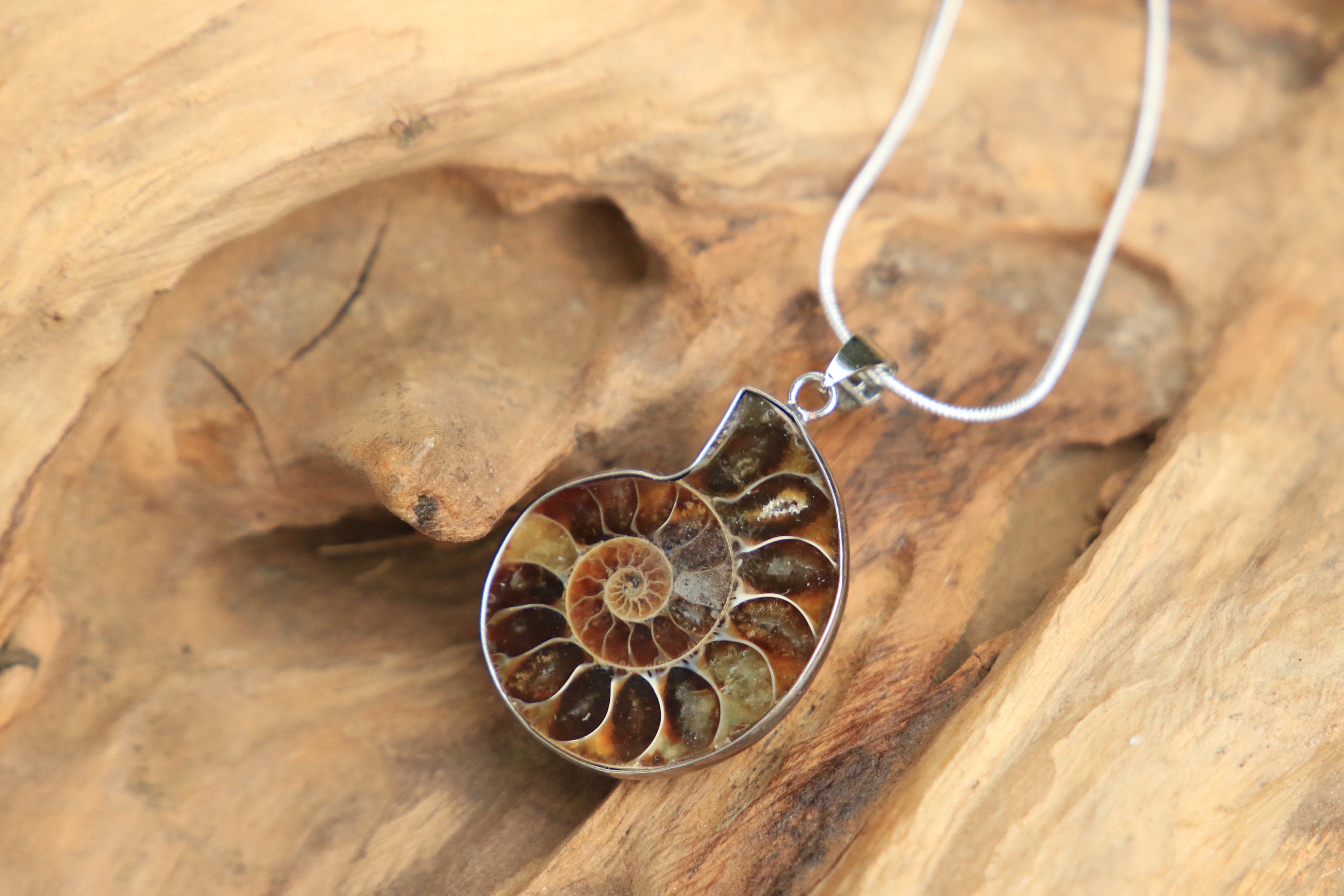 SMALL AMMONITE NECKLACE Silver plated Fossil Crystal Necklace