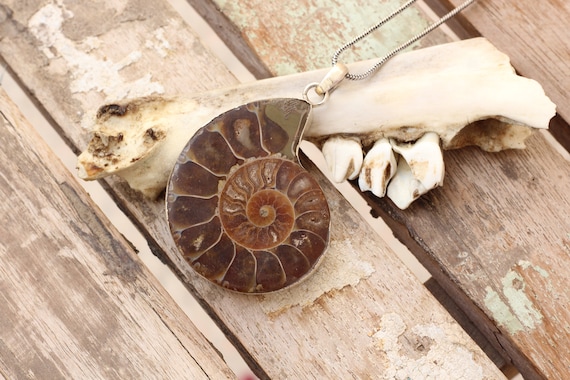 AMMONITE FOSSIL NECKLACE - Sterling Silver - Fossil - Fractal - Crystal Necklace - Archaeology - Sacred Geometry - Shell - Handmade