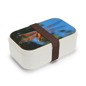 Bento Lunch Box: Dragonfly | Alameda, California