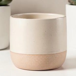 May include: A two-tone ceramic plant pot. The upper section is a creamy beige, and the base is a light terracotta colour. Two white pots with green succulents are in the background. This pot is suitable for small plants.