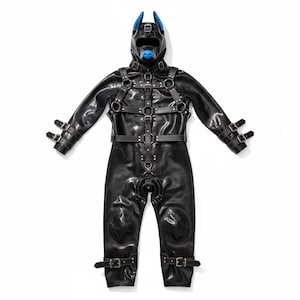 May include: A black full-body suit featuring a hood with blue ears and a blue nose piece. The suit is covered in a complex system of adjustable straps, metal buckles, and D-rings across the chest, arms, and legs, with reinforced knee sections.