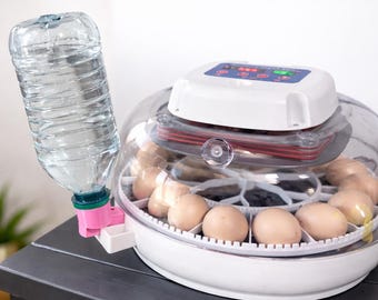 Accesorio para botella de agua extendida Nurture Right 360