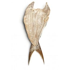May include: A dried fish fillet, light brown in color, with a textured, powdery surface. The fish has a distinctive shape, with a forked tail and a head-like structure at the top. The background is plain white.