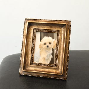 May include: A rectangular, ornate gold picture frame with a small, light-colored dog inside. The frame has a detailed, textured border and a slightly distressed finish. The dog is wearing a light blue outfit and a white bow.