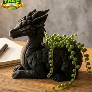 May include: A black dragon-shaped plant pot with a detailed, textured design. The pot contains a trailing plant with small, round, green leaves. The dragon is on a wooden surface.